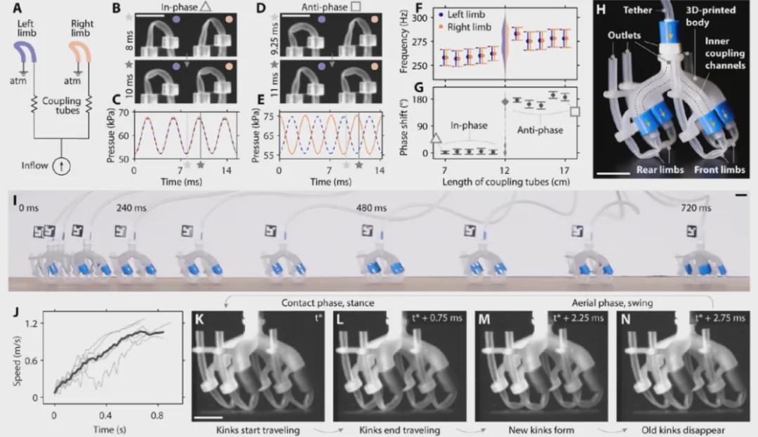 《Science》发表！自振肢体技术赋能软体机器人实现生物级步态(图6)